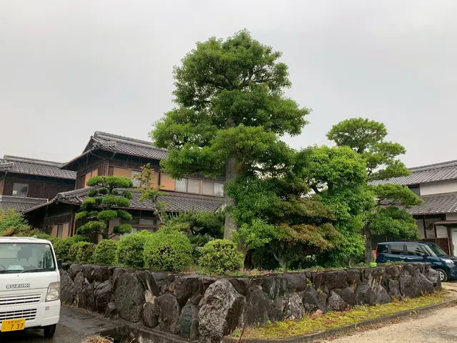 出店記念キャンペーンで地域最安値に挑戦中！ご近所感覚で頼める庭師を目指してます！サービスの画像