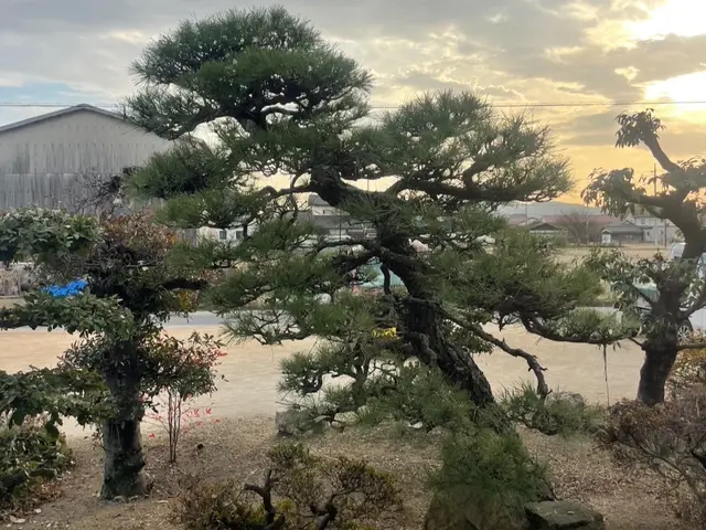 出店記念キャンペーンで地域最安値に挑戦中！ご近所感覚で頼める庭師を目指してます！サービスの画像