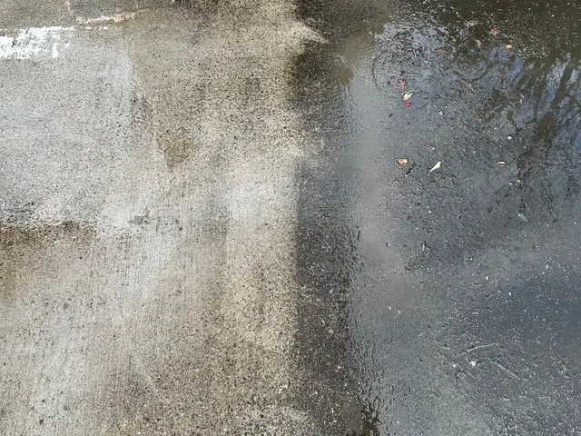 豊富な経験と知識で安心！仕上がり重視で丁寧に作業いたします！サービスの画像