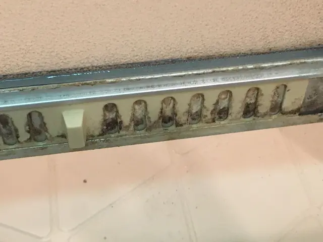 【浴室クリーニング】年内の受付は終了致しました。リピートの方、ご連絡下さい。サービスの画像