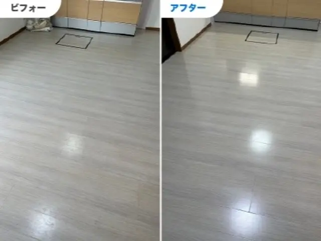 引っ越し前後・空室の全体清掃 入居時も退去時も安心！毎月100件以上の実績！サービスの画像