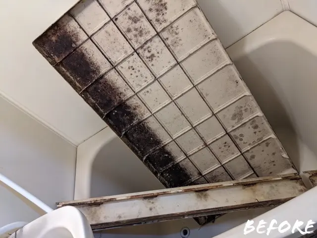 【愛知・名古屋】水回りクリーニング3点セット｜浴室・換気扇・キッチンサービスの画像