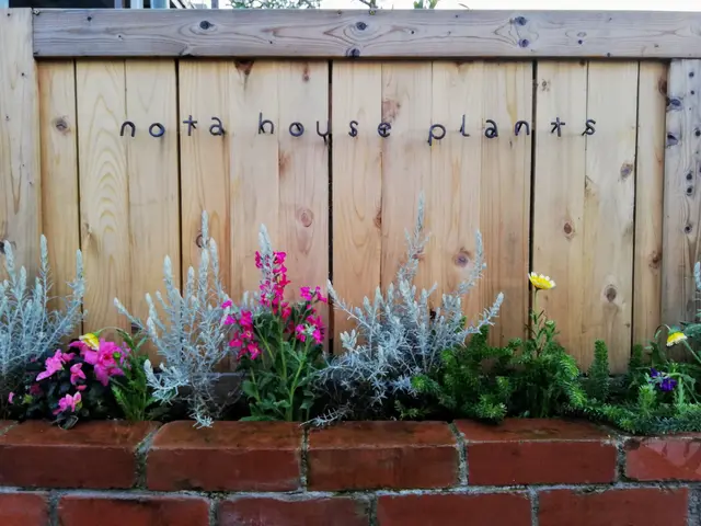 植木やお庭の「困った」をスッキリ解決！◇神奈川近郊◇安心価格◇365日対応OKサービスの画像