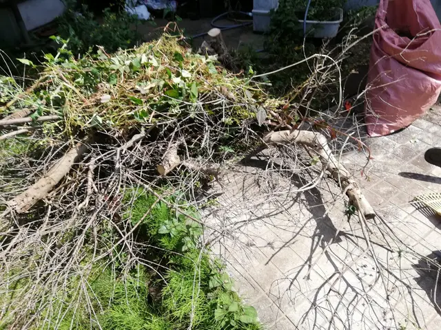 植木やお庭の「困った」をスッキリ解決！◇神奈川近郊◇安心価格◇365日対応OKサービスの画像