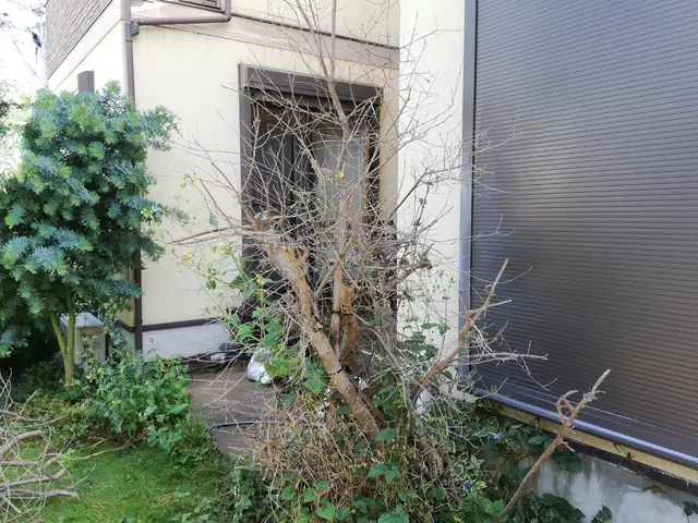 植木やお庭の「困った」をスッキリ解決！◇神奈川近郊◇安心価格◇365日対応OKサービスの画像