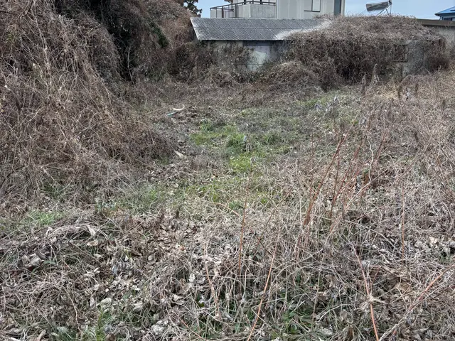 プロの技術でご満足いただけるように心を込めて作業いたしますサービスの画像