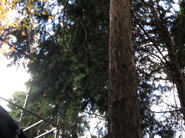 ◆年中無休◆実績100件以上◆営業時間外も対応OK◆迅速丁寧に対応します！サービスの画像