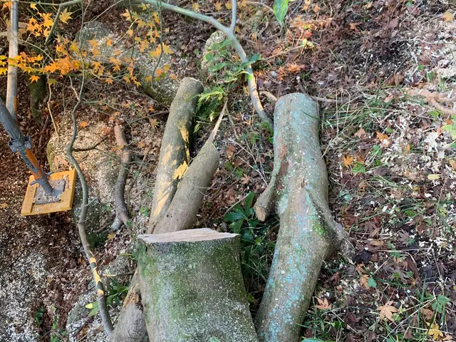 ◆年中無休◆実績100件以上◆営業時間外も対応OK◆迅速丁寧に対応します！サービスの画像