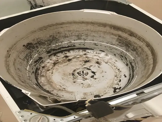 縦型洗濯機分解洗浄！保険加入店サービスの画像