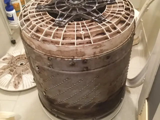 縦型洗濯機分解洗浄！保険加入店サービスの画像