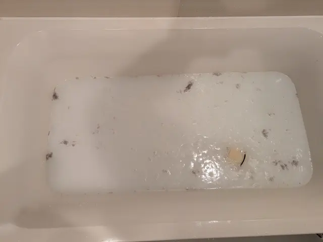 〜レジオネラ菌〜撃退【風呂釜洗浄】カビやサビも除去！赤ちゃんも安心安全♪サービスの画像