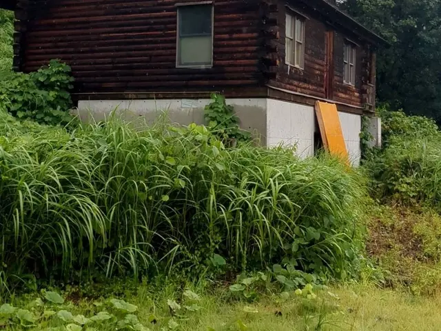 【刈払機取扱作業者】◉10年の経験◉お客様へ寄り添いながら安全に作業を進めます★サービスの画像