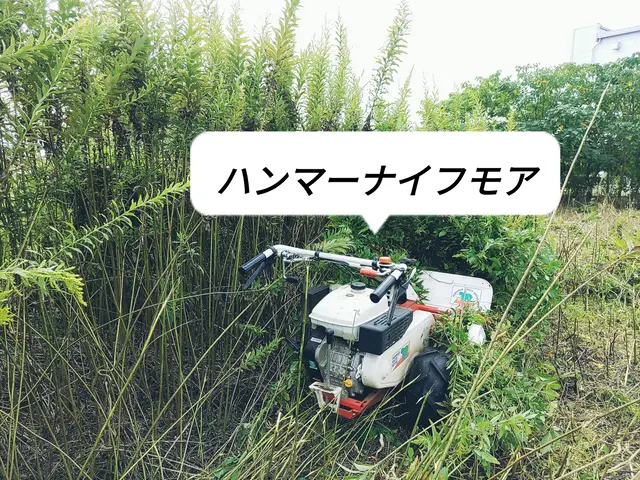 草丈によって機械を使い分けて、安全に作業を行います！サービスの画像