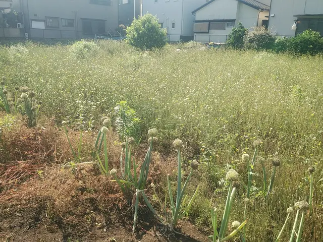 草丈によって機械を使い分けて、安全に作業を行います！サービスの画像