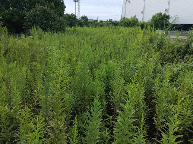 草丈によって機械を使い分けて、安全に作業を行います！サービスの画像