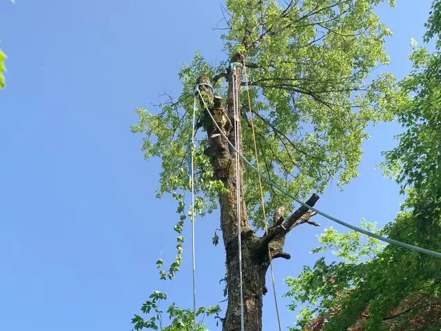 ◆春日井発◆営業時間外も対応いたしますサービスの画像