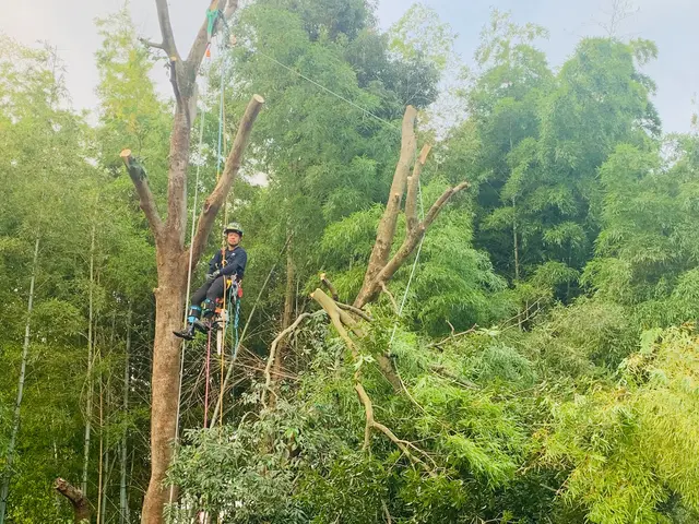 ◆春日井発◆営業時間外も対応いたしますサービスの画像