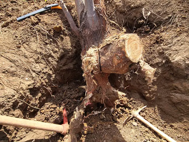 ◆春日井発◆営業時間外も対応いたしますサービスの画像