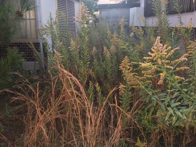 ＜業界10年の豊富な経験あり◎＞店長の私がお伺いします！対応地域外の方も相談可能サービスの画像