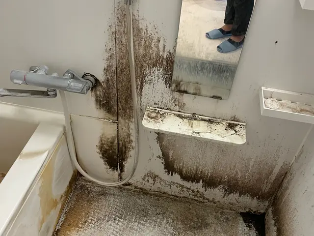 【水回りを丸っと綺麗に】他サイトで☆評価4.9の優良店舗！店長か副店長がお伺い◎サービスの画像