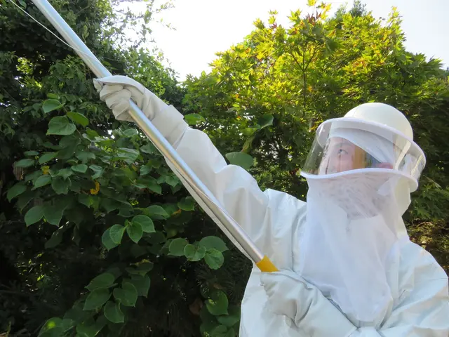 〖東海エリア24時間〗安全で確実な蜂駆除は当たり前！価格以上の価値あるサービスサービスの画像