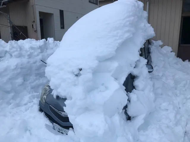 女性スタッフの同行可能◎営業時間外や対応地域外もお気軽にご相談ください！サービスの画像