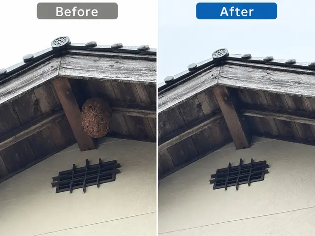 事前見積もりで追加費用無し◎年内再発保証◎当日対応可能◎島根鳥取密着の蜂の巣駆除サービスの画像