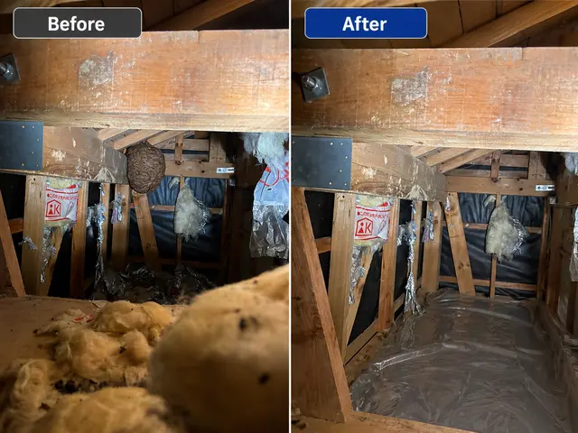 事前見積もりで追加費用無し◎年内再発保証◎当日対応可能◎島根鳥取密着の蜂の巣駆除サービスの画像