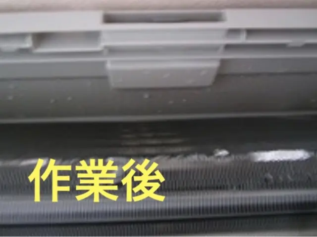 プロの清掃で汚れ・カビをスッキリ！店長の私が丁寧な対応でお伺いさせていただきますサービスの画像