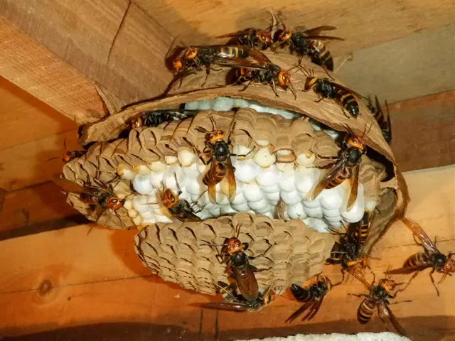 【女性スタッフ在籍】外注作業一歳なし！大手での業務経験あり◉サービスの画像