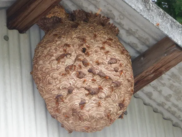 【女性スタッフ在籍】外注作業一歳なし！大手での業務経験あり◉サービスの画像