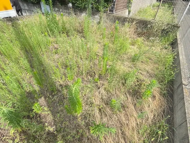 リピーター多数の信頼！2年の実績。自社スタッフが徹底クリーニングサービスの画像