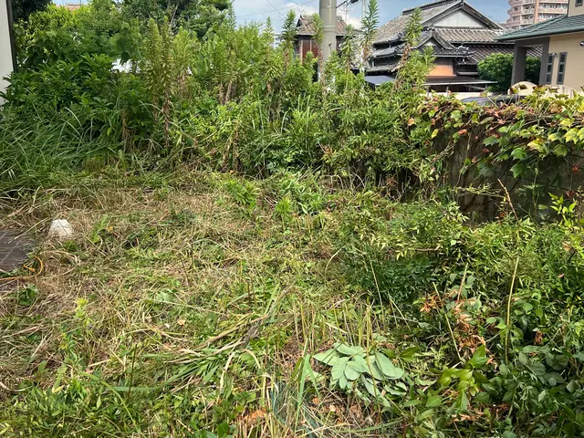 草刈り　草刈り機サービスの画像