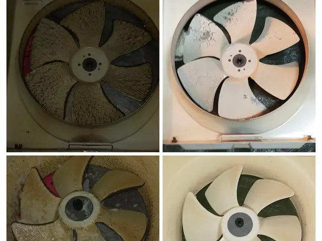 換気扇クリーニング！ギトギト油汚れをプロの技術でスッキリ、リセット！サービスの画像