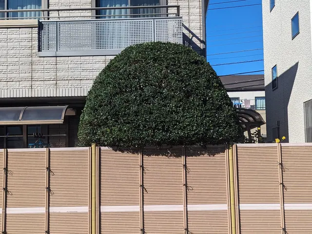 【地域密着店】迅速ていねいに仕上げます！アフターフォローも万全サービスの画像