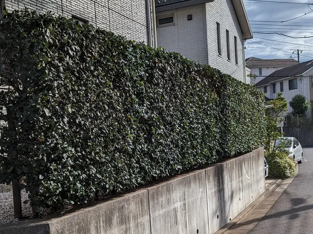 【地域密着店】迅速ていねいに仕上げます！アフターフォローも万全サービスの画像