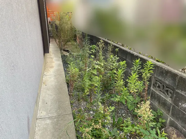 《業歴10年》作業外注一切なし◎駐車代お店負担◎女性スタッフ同行可サービスの画像