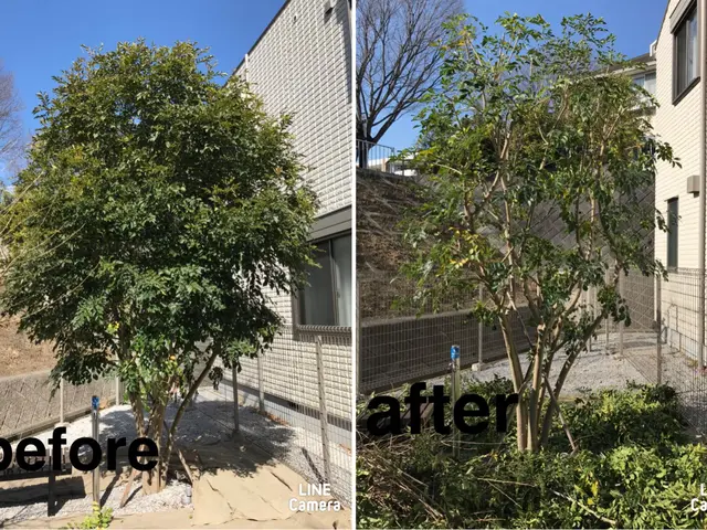 お庭を綺麗にしませんか！職人歴25年の経験と実績！私が責任を持って伺います！サービスの画像