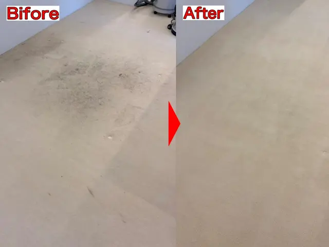 カーペットクリーニング専門店☆豊富な経験と技術☆ご相談は24時間受付中！サービスの画像