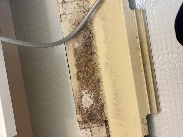 【水回り5点清掃】キッチンや換気扇、お風呂等気になる水回りを一気に綺麗にします！サービスの画像