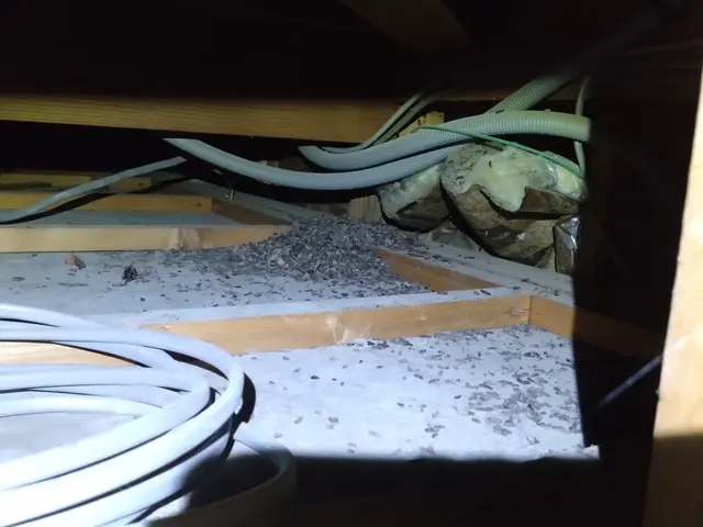 いすみ市から伺います。レベル違いの駆除実績と経験で安心、安全な駆除をご提供しますサービスの画像