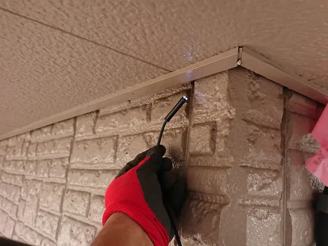 いすみ市から伺います。レベル違いの駆除実績と経験で安心、安全な駆除をご提供しますサービスの画像