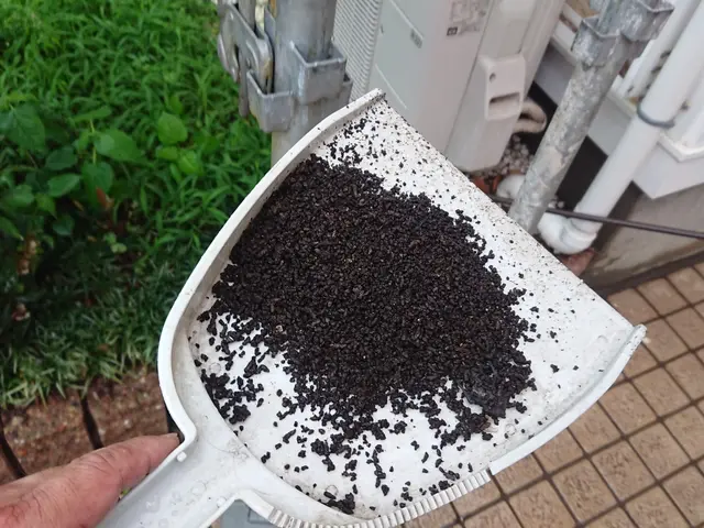 いすみ市から伺います。レベル違いの駆除実績と経験で安心、安全な駆除をご提供しますサービスの画像