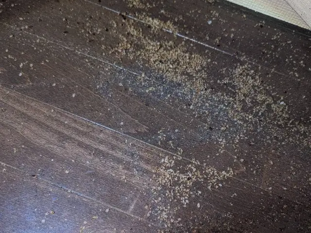 【完全駆除お約束】赤ちゃんやペットに安全な薬剤を使用します！プロにお任せくださいサービスの画像