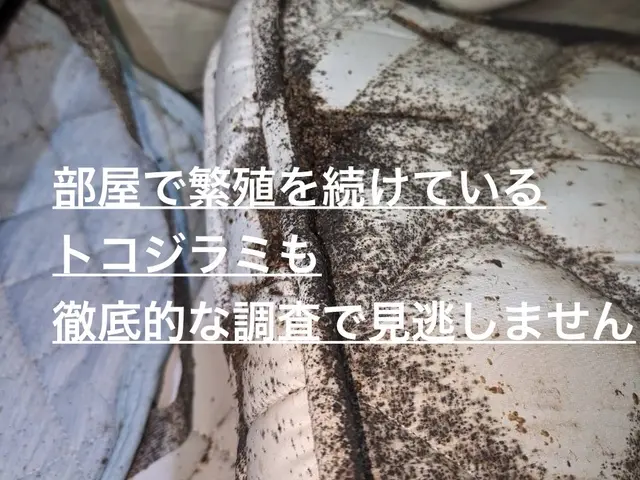 【完全駆除お約束】赤ちゃんやペットに安全な薬剤を使用します！プロにお任せくださいサービスの画像