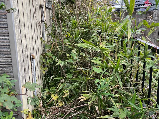 【業歴15年の経験と実績】作業外注なし全て自社施工！アフターフォローも万全サービスの画像