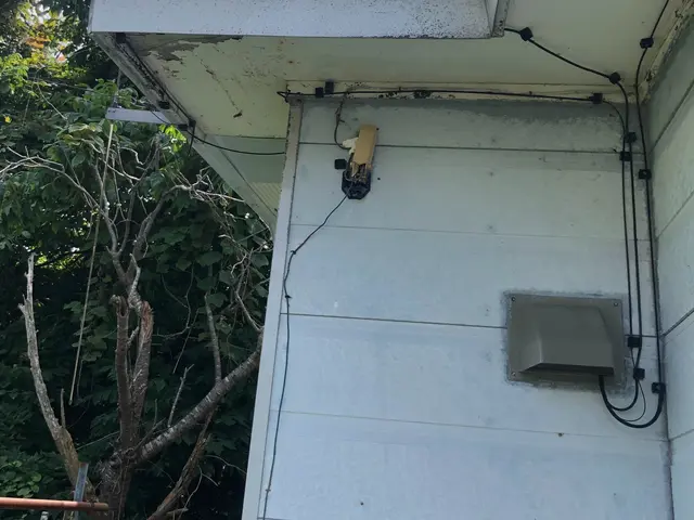 あらゆる蜂に対応してますサービスの画像