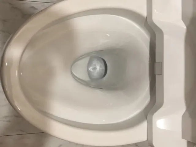 非喫煙者が伺います。午後、夕方に空きありトイレクリーニングサービスの画像