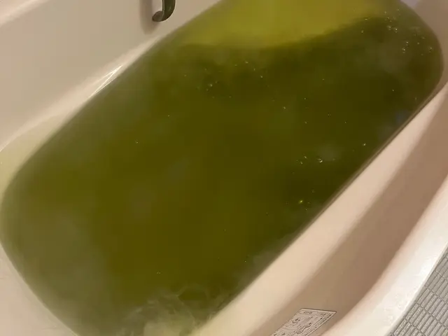 業務用洗浄剤で風呂釜内部を強力洗浄！快適なお風呂でゆっくり浸かりましょう(*^^サービスの画像