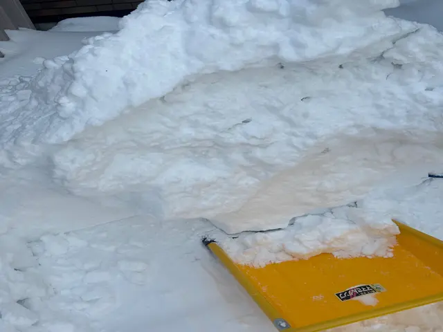 雪かき雪下ろしサービスの画像